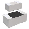 RC1005F102CS Image